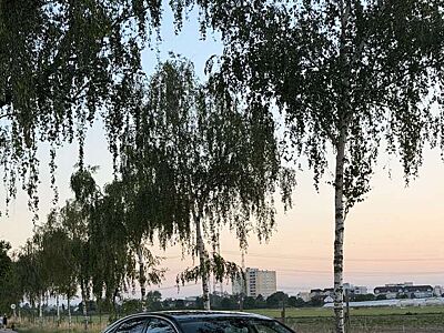 Audi A8 3.0 TDI DPF quattro tiptronic