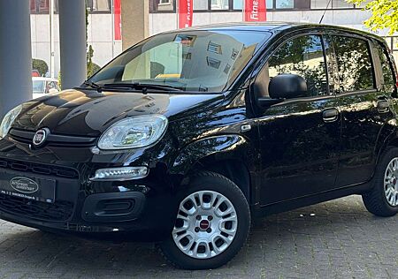 Fiat Panda TÜV AU NEU*KLIMA*Euro 6*