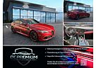 Alfa Romeo Giulia 2.9 V6 Bi-Turbo,Quadrifoglio,Carbon,600PS