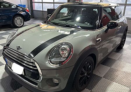 Mini Cooper Panoramadach