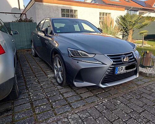 Lexus IS 300 300h Luxury Line