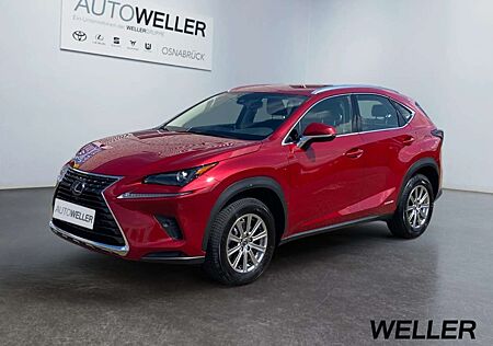 Lexus NX 300 NX 300h Amazing Edition E-FOUR *Bi-LED*Kamera*