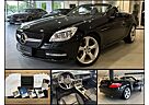 Mercedes-Benz SLK 250 Sport|Bi-Xenon|Navi|Leder|H/K|MB Service