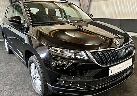 Skoda Karoq Active, Tempomat, DAB, Sitzheizung