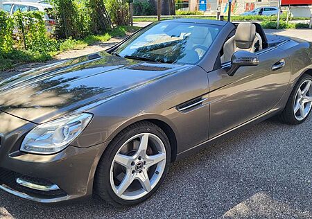 Mercedes-Benz SLK 250 BlueEFFICIENCY (172.447)