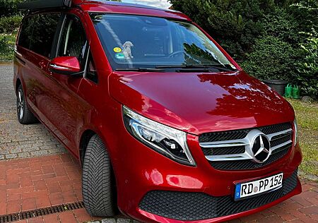 Mercedes-Benz Marco Polo 300 d 300 d