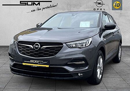 Opel Grandland 1.2 Turbo Edition, Navi-Rückfahrk.