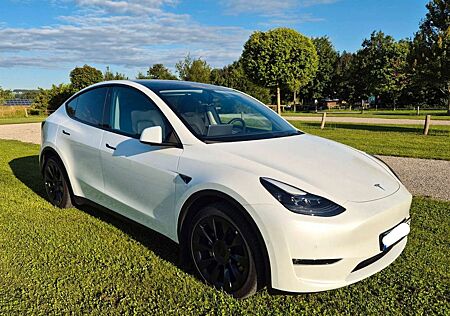 Tesla Model Y Model+Y+Long+Range+Dual+Motor+AWD