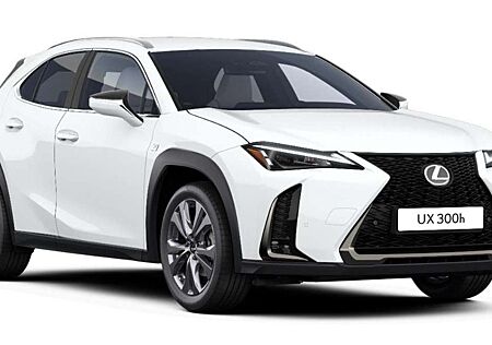 Lexus UX 300h F Sport Design Klima Kamera Sitzhzg
