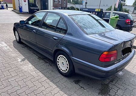 BMW 523i 523