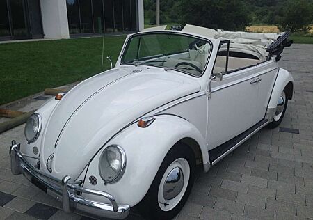 VW Käfer Volkswagen Cabrio