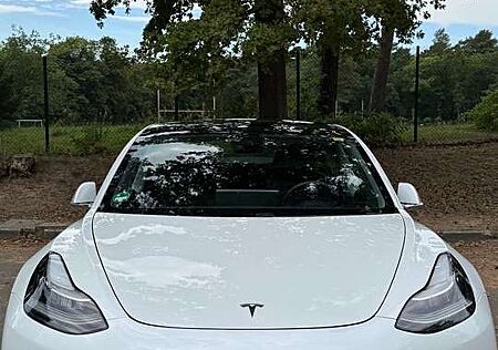 Tesla Model 3 Standard Range Plus