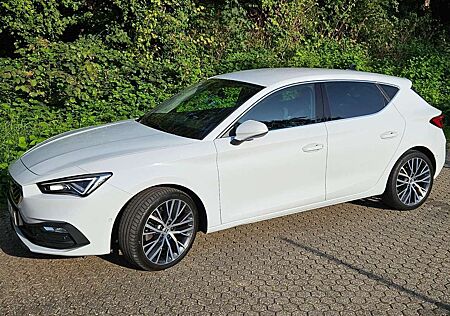 Seat Leon 2.0 TDI DSG Xcellence
