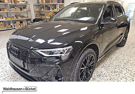 Audi e-tron 55 quattro S line Black Edition Klima Navi