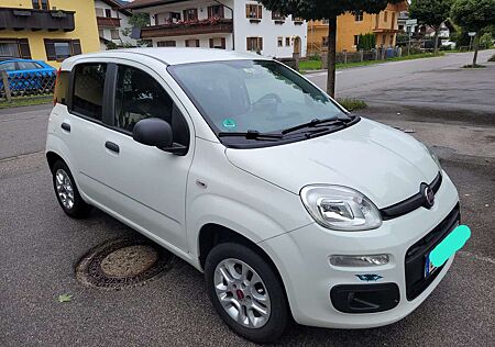 Fiat Panda /Pandina 1.2 More