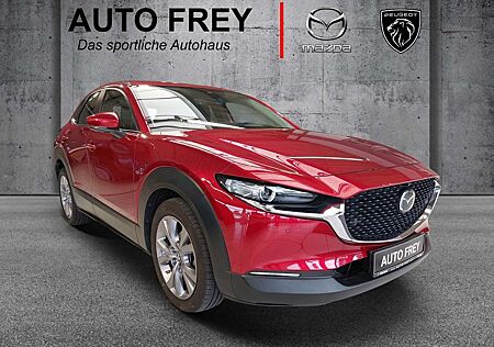 Mazda CX-30 Selection+i-ACTIVSENSE+BOSE+1.HAND+360°KAMERA+ELEK