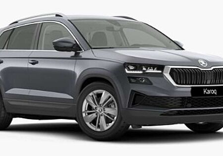 Skoda Karoq Drive130Plus 150PS DSG Kamera