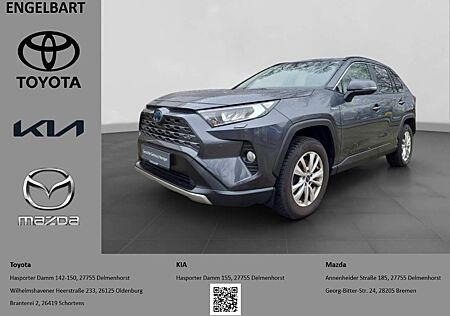 Toyota RAV 4 Hybrid 4x4 Team Deutschland 2.5 VVT-i EU6d El. Hec