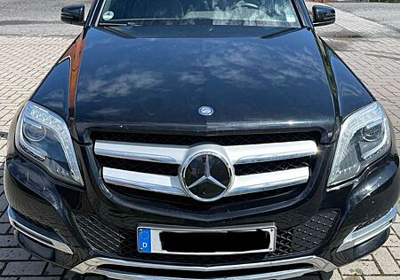 Mercedes-Benz GLK 220 CDI BlueEfficiency (204.902)