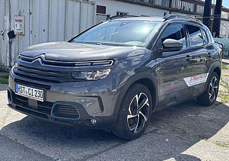 Citroën C5 Aircross Citroen Einparkhilfe el. Fenster