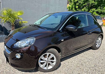 Opel Adam White Link