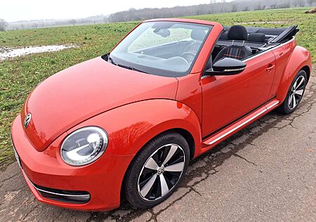 VW Beetle Volkswagen Cabrio Club 2.0 TDI DSG