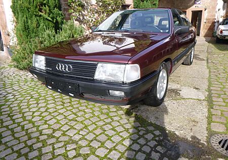 Audi 100 QUATTRO TYP 44 5-ZYLINDER SCHECKHEFT!!!