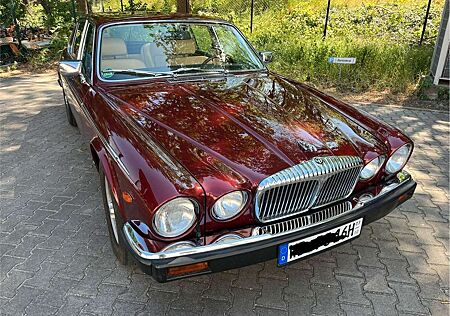 Jaguar Daimler Double Six Serie 3 V12 neuwertig