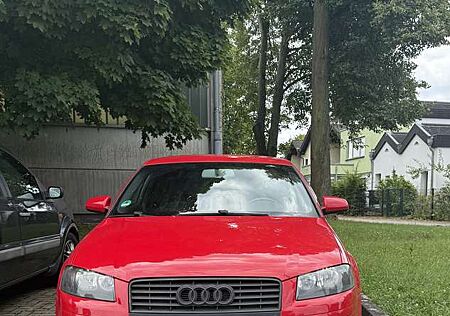 Audi A3 1.6 Attraction (8P)