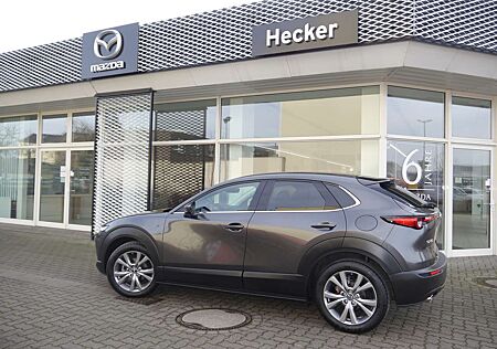 Mazda CX-30 gebraucht kaufen Mazda CX-30 e-SKYACTIVE G 140 EXCLUSIVE Sommerschlussverkauf