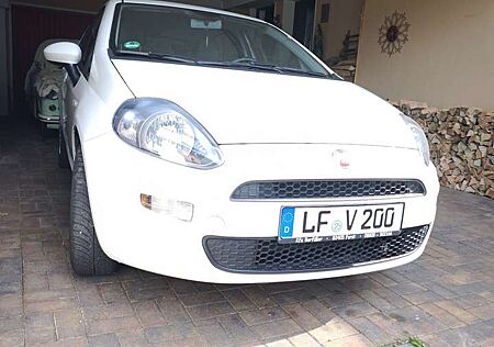 Fiat Punto More
