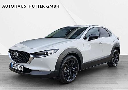 Mazda CX-30 2.5L e-SKYACTIV G 140ps 6AT FWD Homura