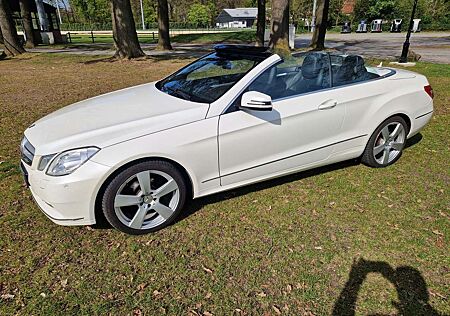 Mercedes-Benz E 200 Cabrio BlueEFFICIENCY Elegance