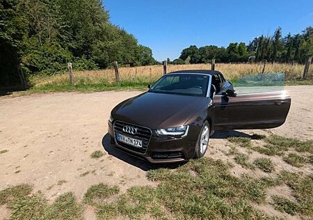 Audi A5 +Cabrio+1.8+TFSI