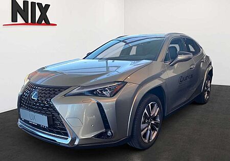 Lexus UX 300e Entry + Luxury-Paket + HUD