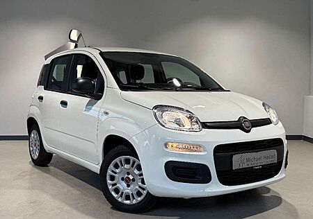 Fiat Panda 1.2 Easy Komfort-Paket Winterräder