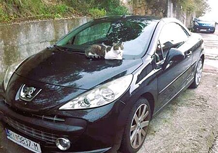 Peugeot 207 CC Roland Garros