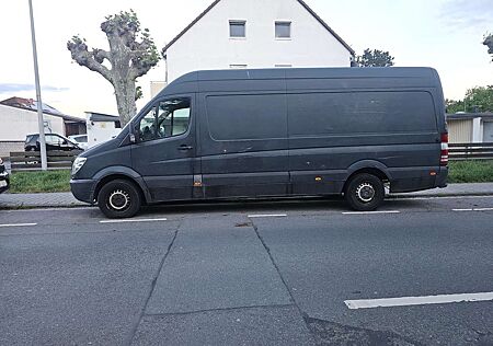 Mercedes-Benz Sprinter 313 CDI 4x4 906.635 Aut.