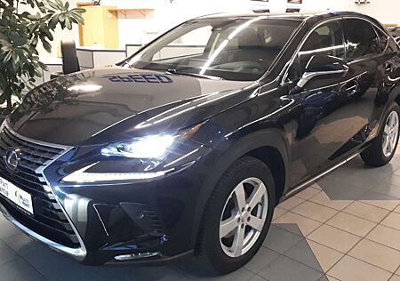 Lexus NX 300 h E-Four Automatik Leder LED SH PD Navi 4x4 View