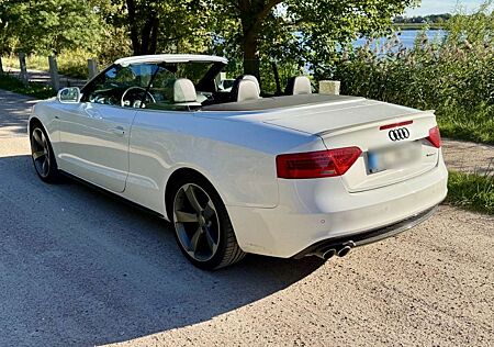 Audi A5 Cabrio 3.0 TDI DPF quattro S troni sline