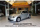 VW Beetle Volkswagen Lim. Design