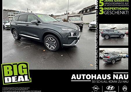 Hyundai Santa Fe Prime PHEV 1.6 -- Standort Marburg --