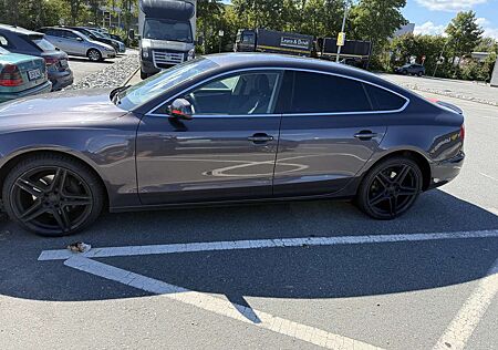Audi A5 gebraucht kaufen Audi A5 3.0 TDI Sportback quattro DPF