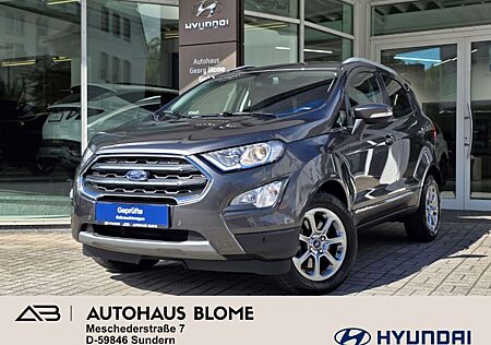 Ford EcoSport 1.0 EcoBoost Automatik Titanium, Winterräder, Kame