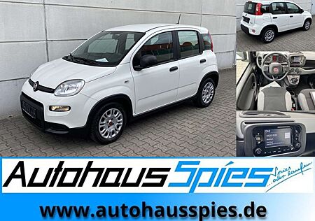 Fiat Panda 1.0 Mild Hybrid Base Klima DAB