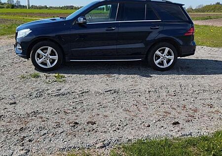 Mercedes-Benz GLE 350 d 4Matic (166.024)