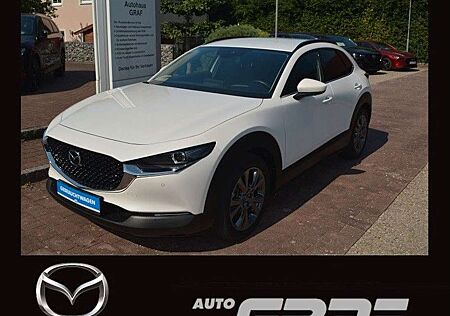 Mazda CX-30 Selection AWD NAVI LED 360° AHK Dachreling