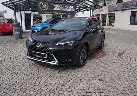 Lexus UX 250h Style Edition