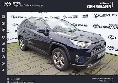 Toyota RAV 4 2.5 4x2 Hybrid Team Deutschland