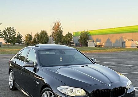 BMW 530d 530 Blue Performance Sport-Aut.